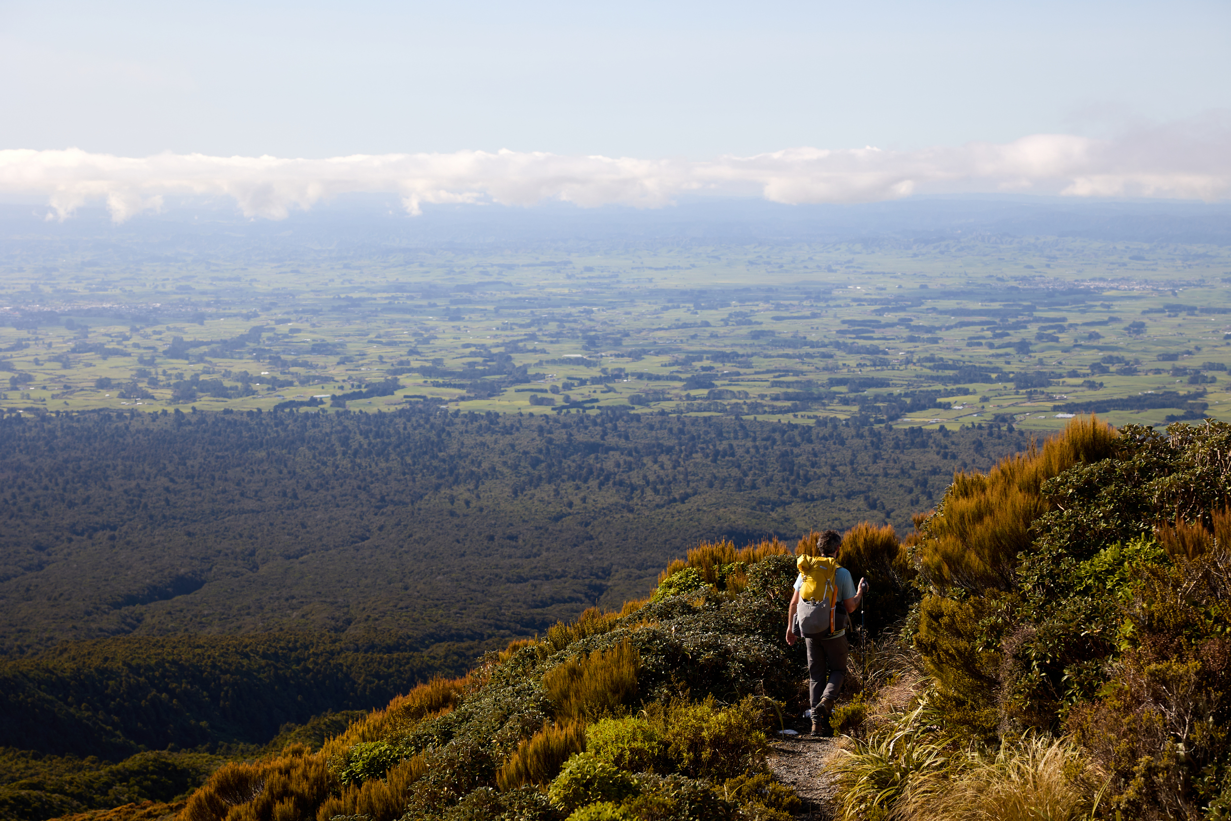 Walking down through the bush with the national park and farmland in the distance