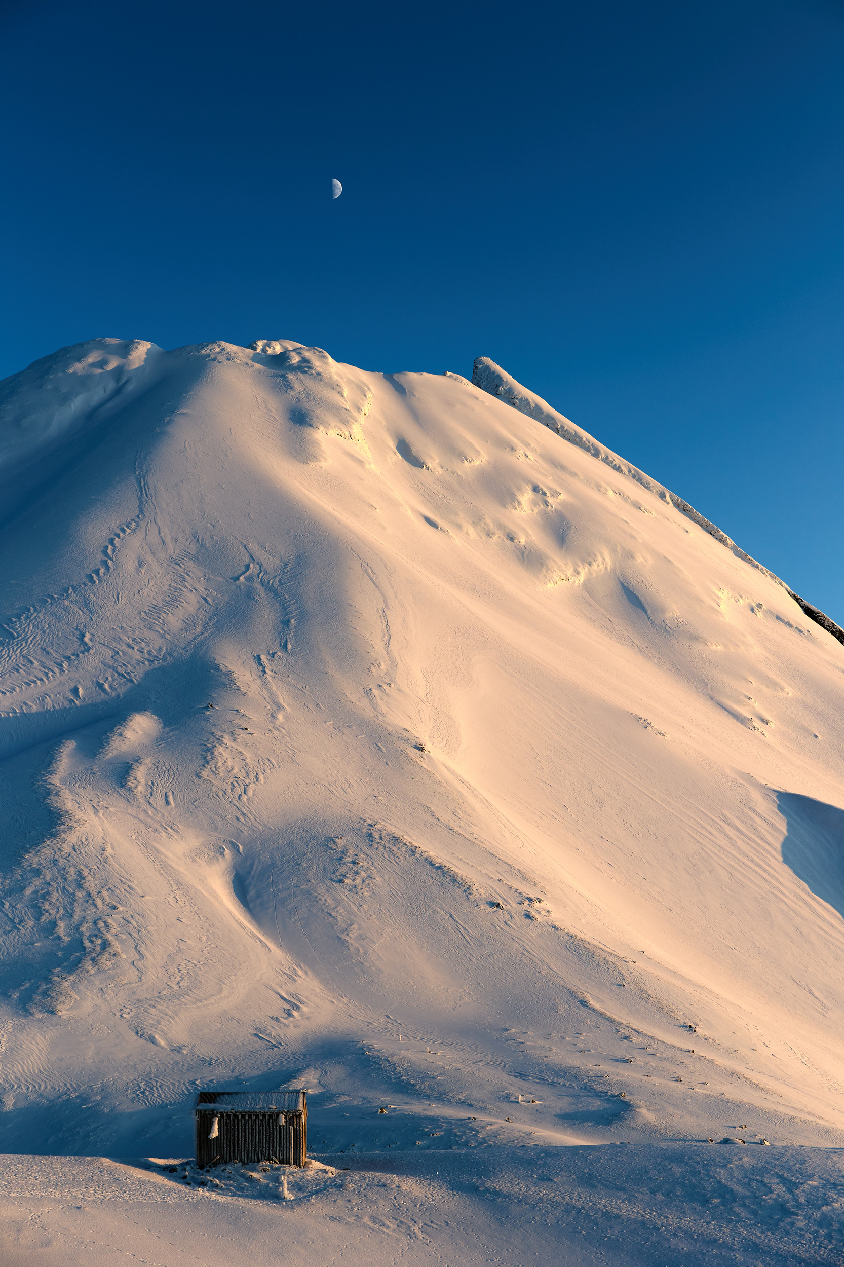 Taranaki maunga at sunrise with Syme Hut in the foreground and the moon overhead.