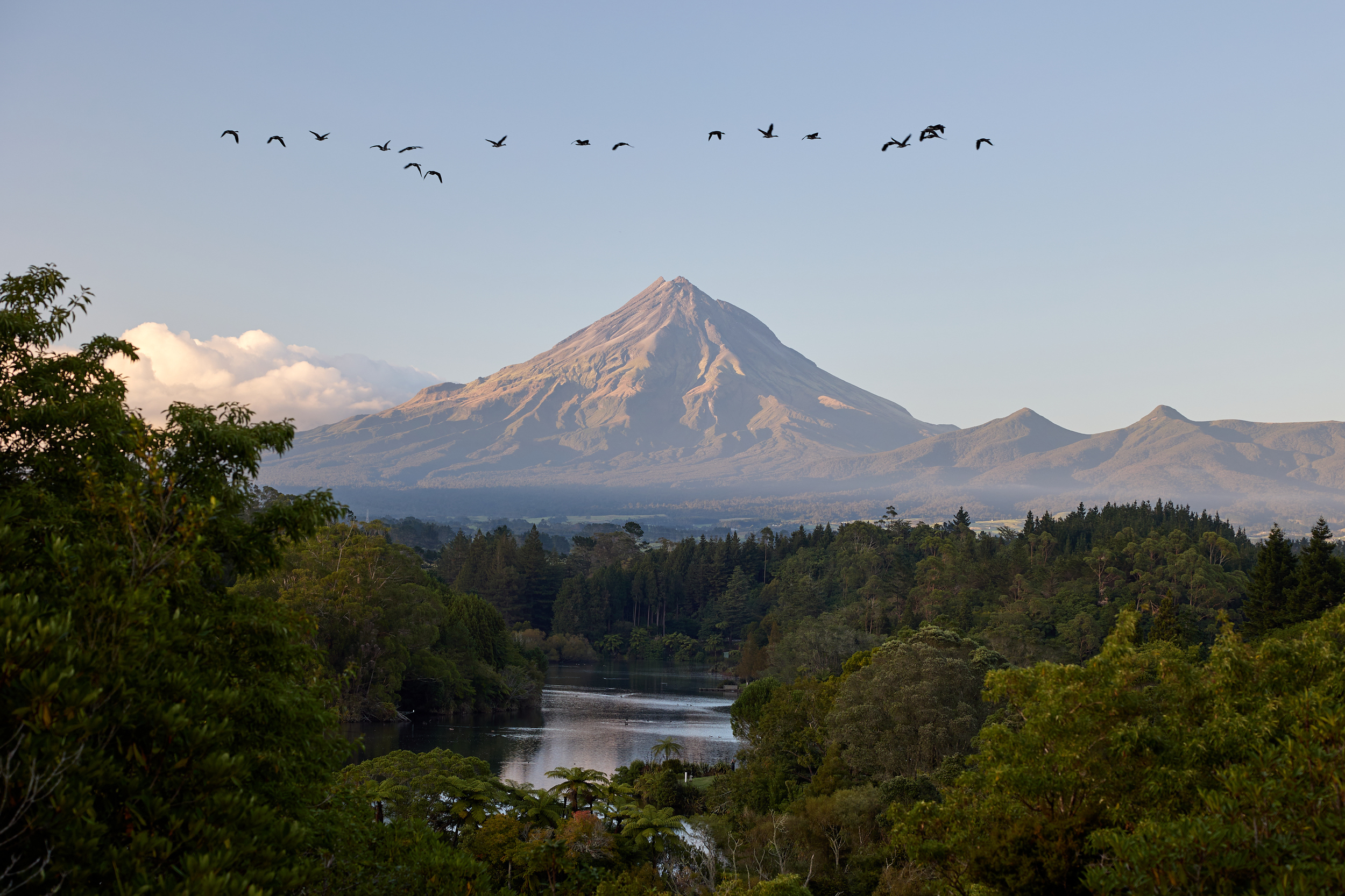 View of Taranaki Maunga looking across Lake Mangamahoe with birds flying past