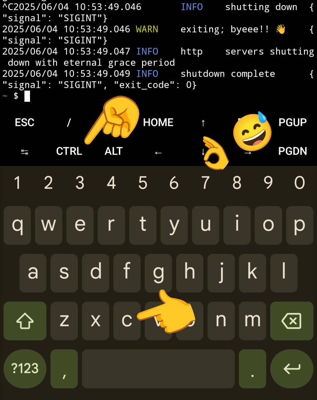 Abort key sequence to shutdown Caddy within Termux